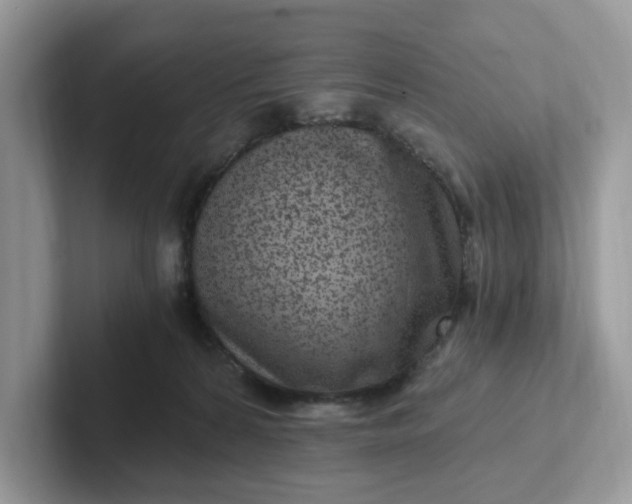 X0000101440224200807211219