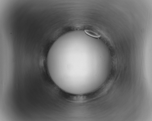 X0000101440225200807211219