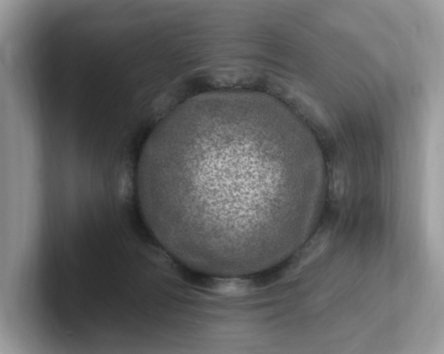 X0000101440226200807211219