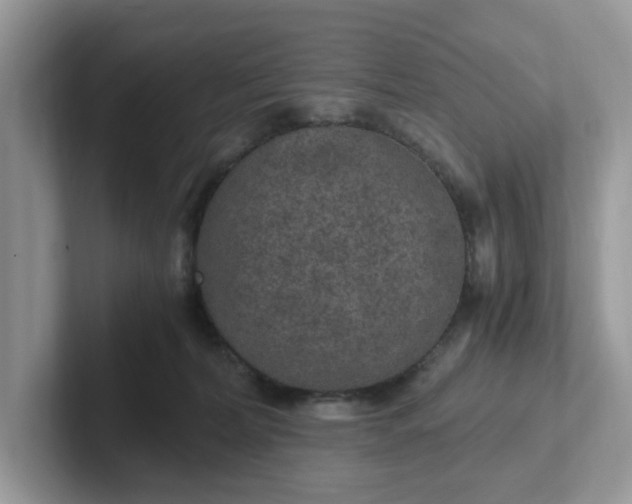 X0000101440228200807211219