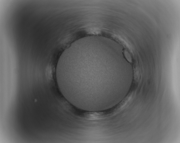 X0000101440229200807211219