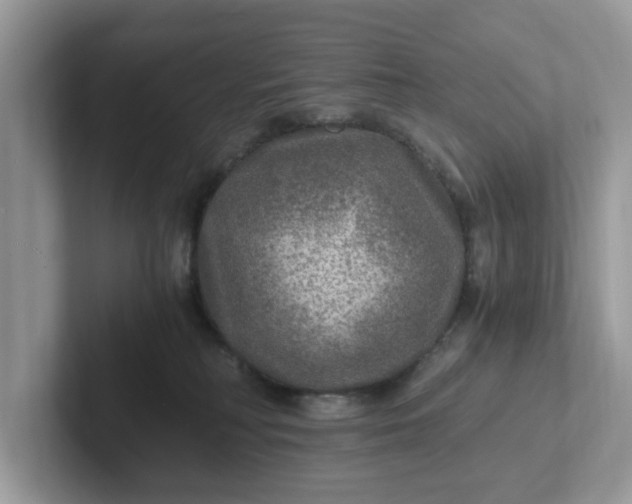 X0000101440230200807211219