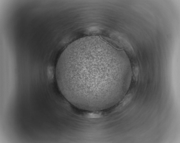 X0000101440232200807211219