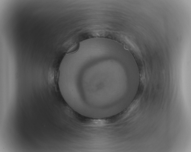 X0000101440233200807211219