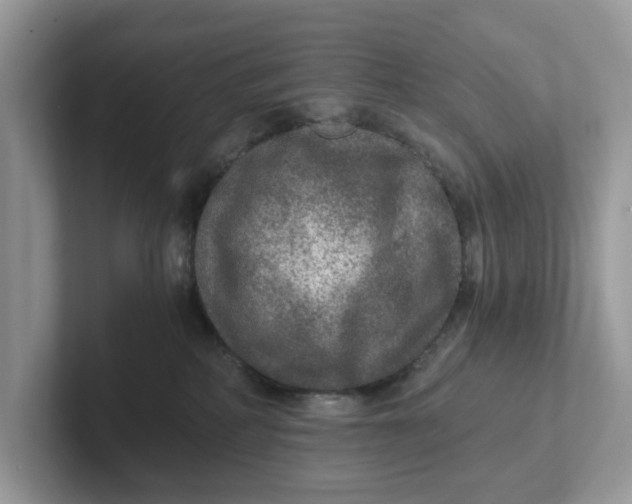 X0000101440234200807211219