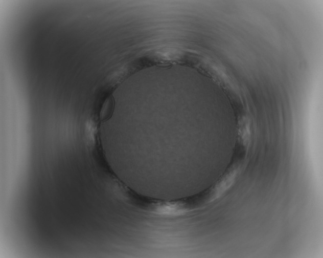 X0000101440235200807211219