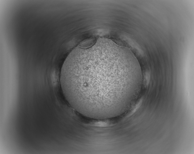 X0000101440236200807211219