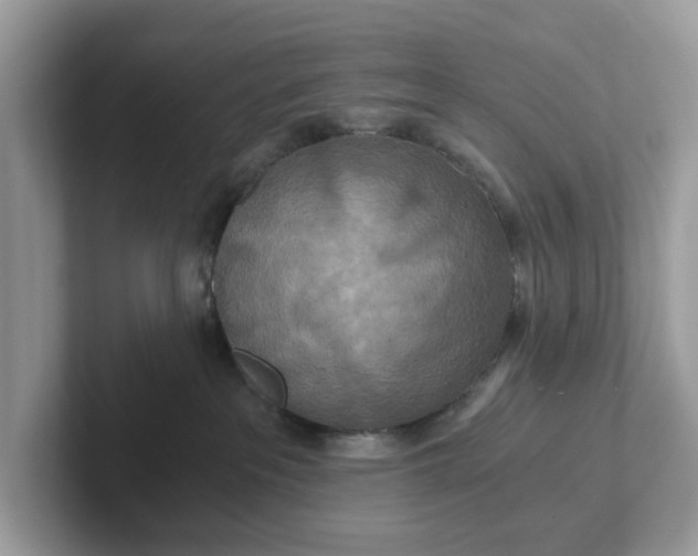 X0000101440237200807211219