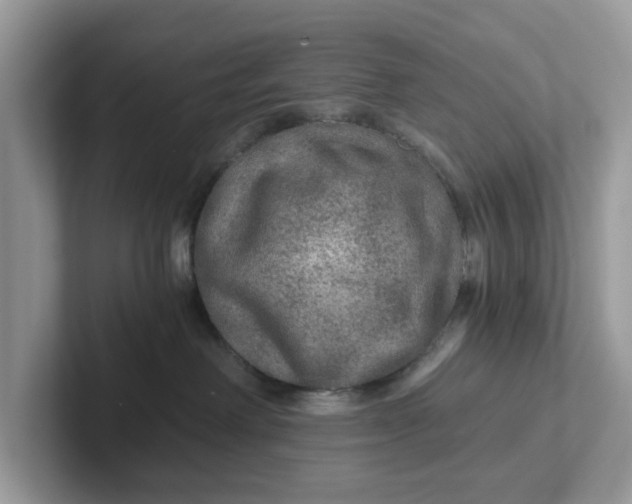 X0000101440238200807211219