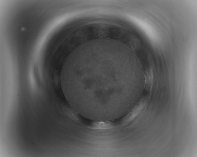 X0000101440239200807211219