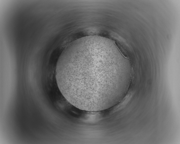 X0000101440240200807211219