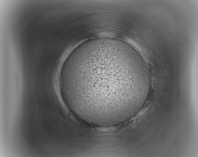 X0000101440241200807211218