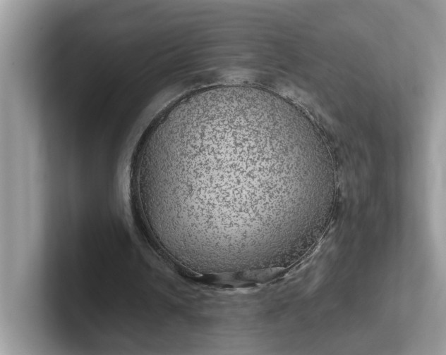 X0000101440242200807211218