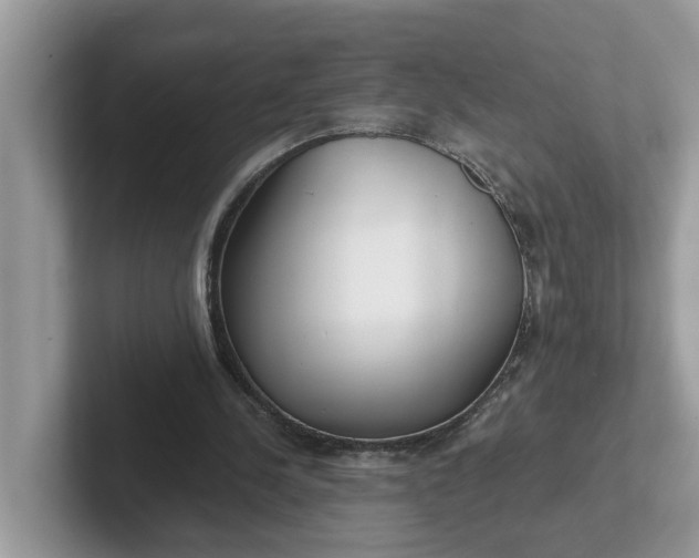 X0000101440244200807211218