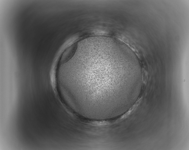 X0000101440245200807211218