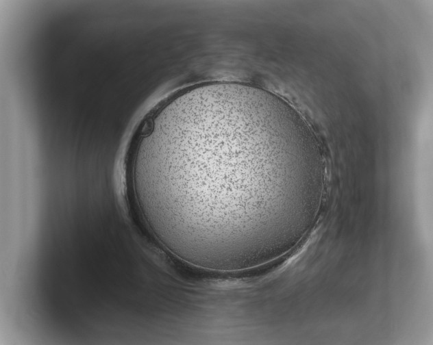 X0000101440246200807211218