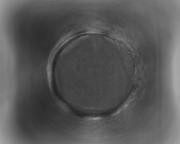 X0000101440247200807211218