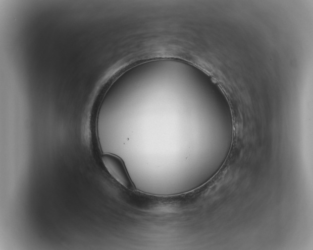 X0000101440248200807211218