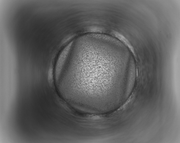 X0000101440249200807211218