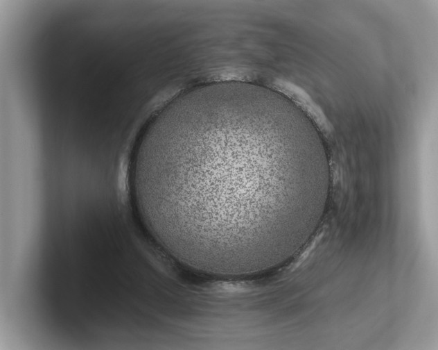 X0000101440250200807211218