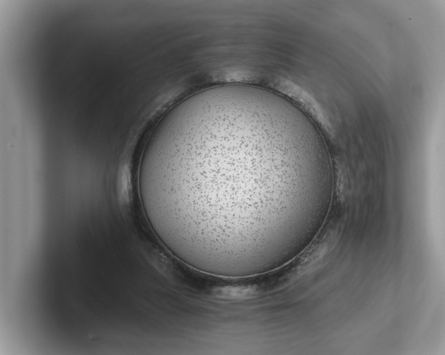 X0000101440251200807211218