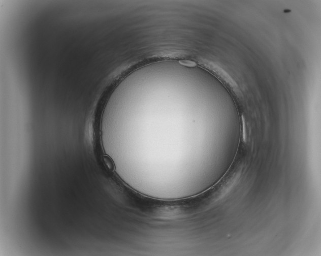 X0000101440252200807211218