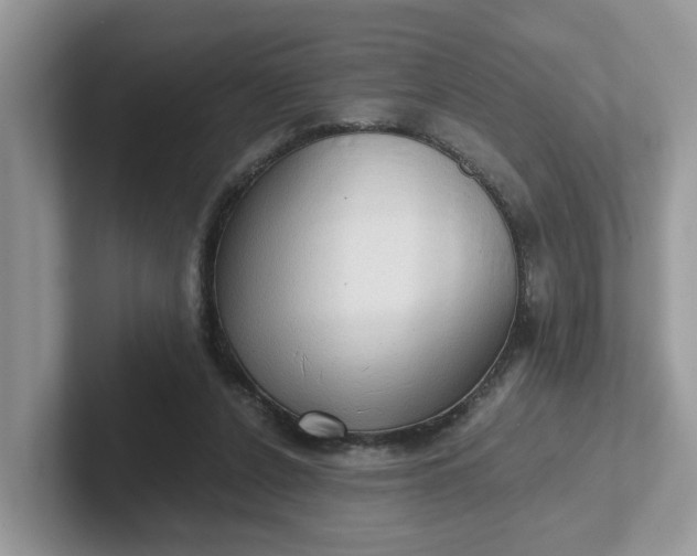 X0000101440256200807211218