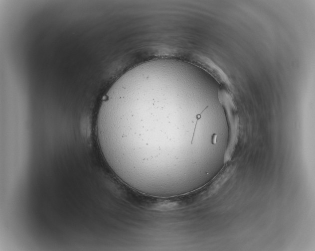 X0000101440257200807211218