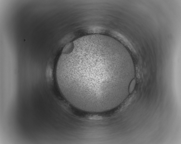 X0000101440258200807211218