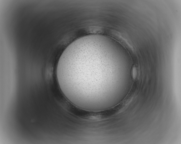 X0000101440263200807211219