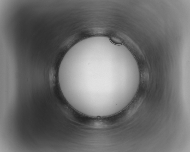 X0000101440264200807211219