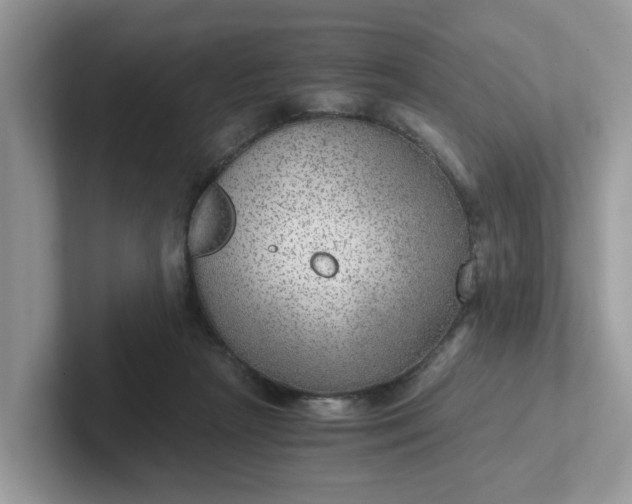 X0000101440265200807211219