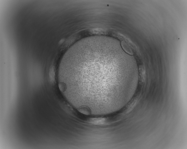 X0000101440266200807211219