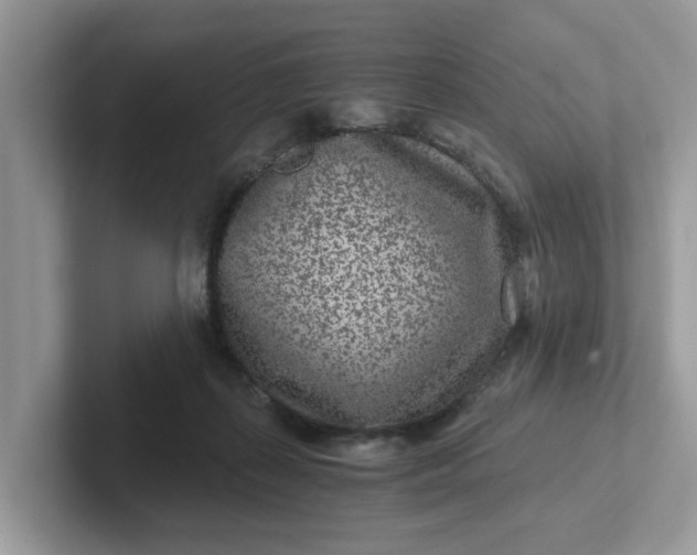 X0000101440267200807211219