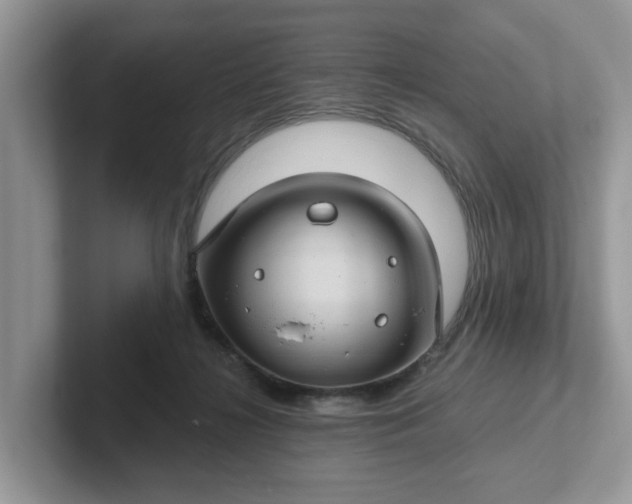 X0000101440268200807211219