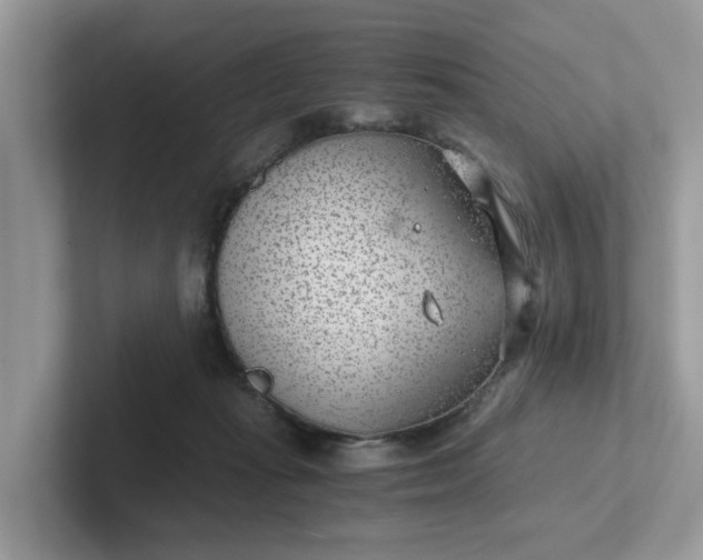 X0000101440269200807211219