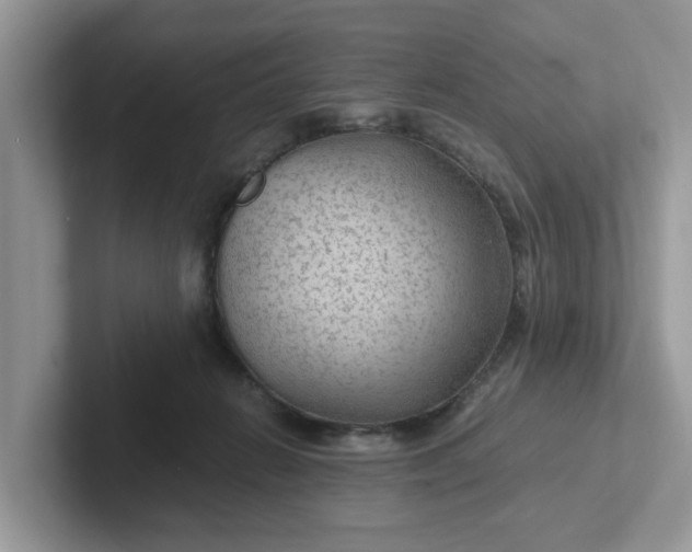 X0000101440270200807211219