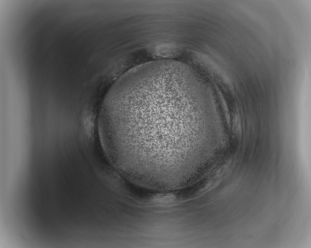 X0000101440271200807211219