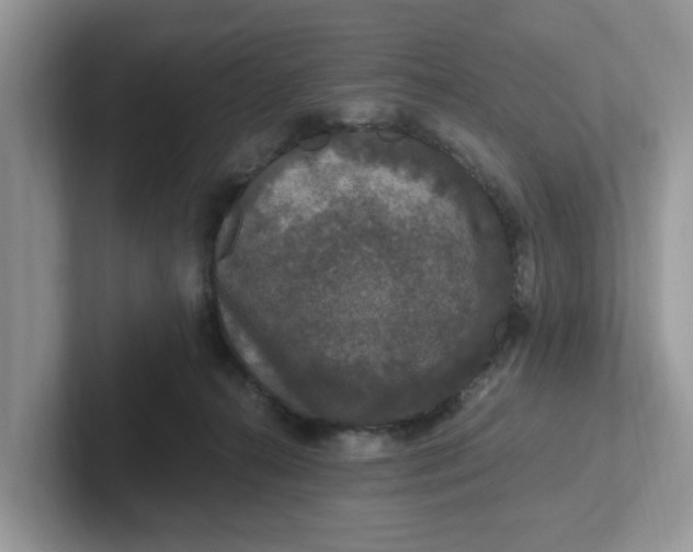 X0000101440272200807211219