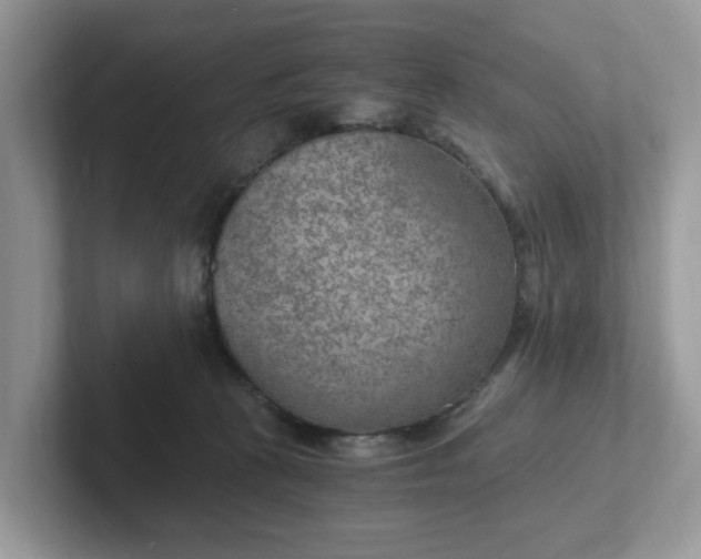 X0000101440273200807211219