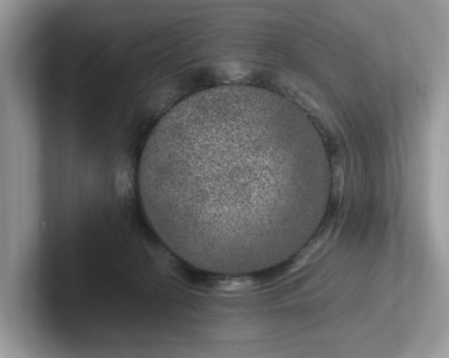 X0000101440274200807211219