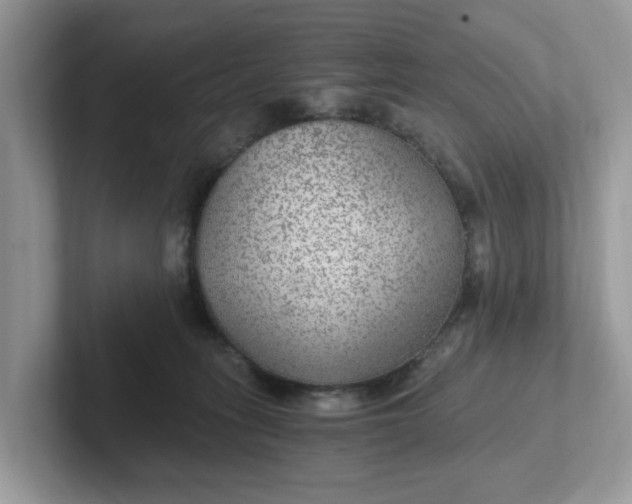 X0000101440275200807211219