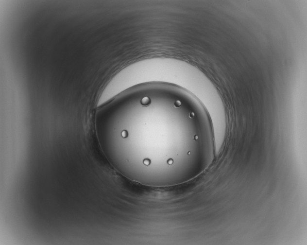 X0000101440276200807211219