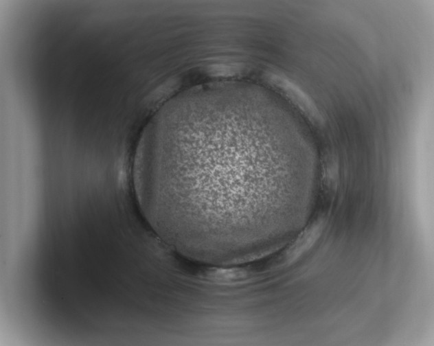 X0000101440277200807211219