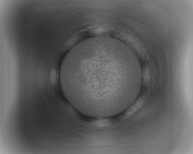 X0000101440278200807211219