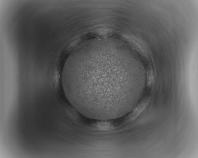 X0000101440279200807211219