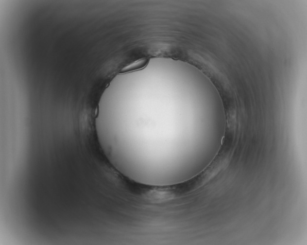 X0000101440280200807211219