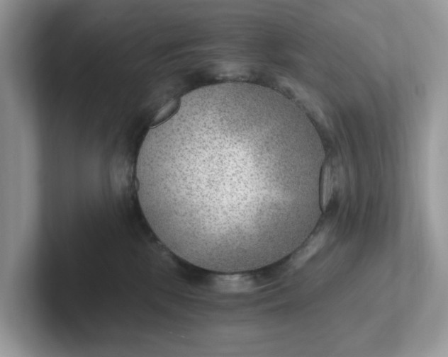 X0000101440281200807211219