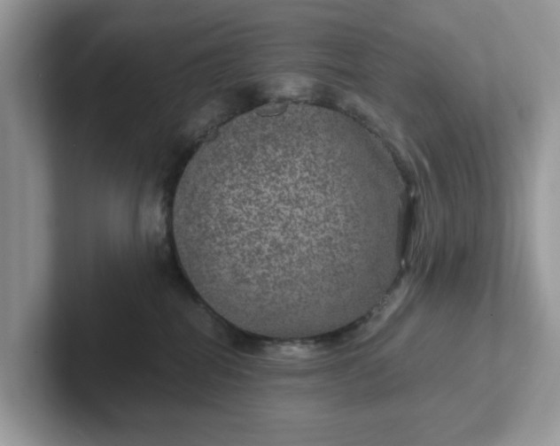 X0000101440282200807211219