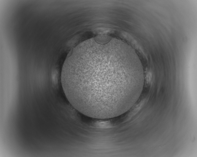 X0000101440283200807211219